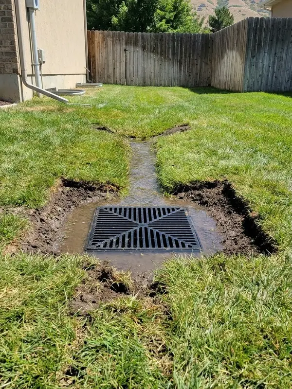 Catch basin grate set flush into a low spot in a lawn, draining surface water away from the house