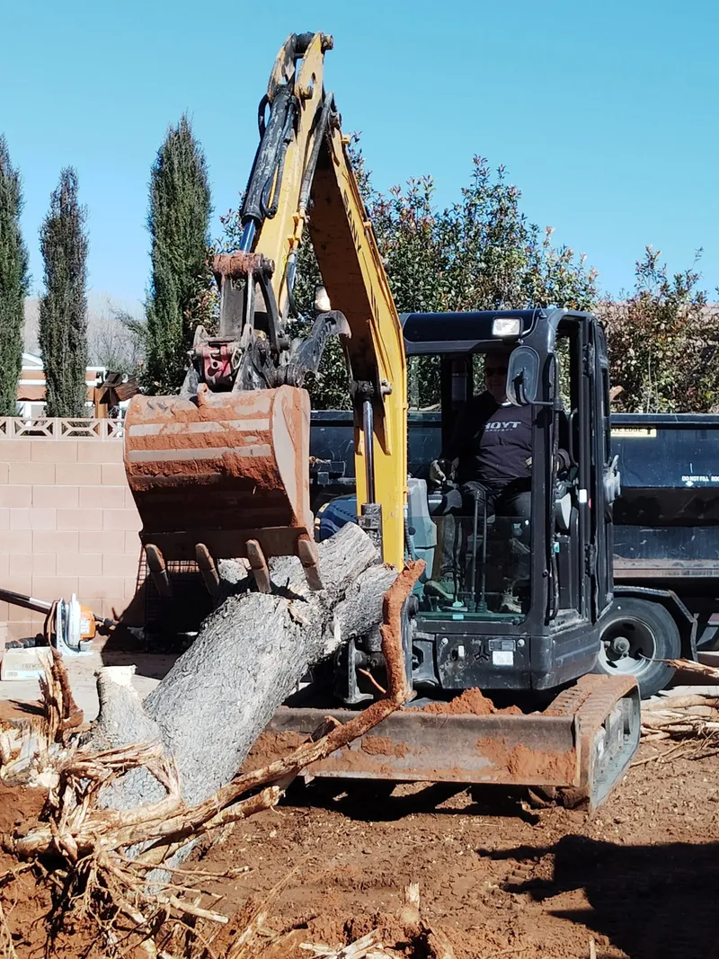 Mini excavator loading heavy debris into a dump truck during a site clear-out