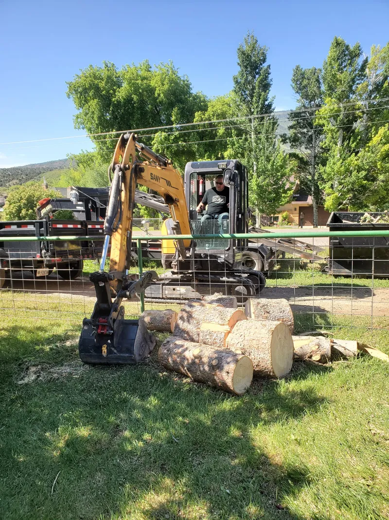 Mini excavator clearing shrubs and root systems to reclaim yard space