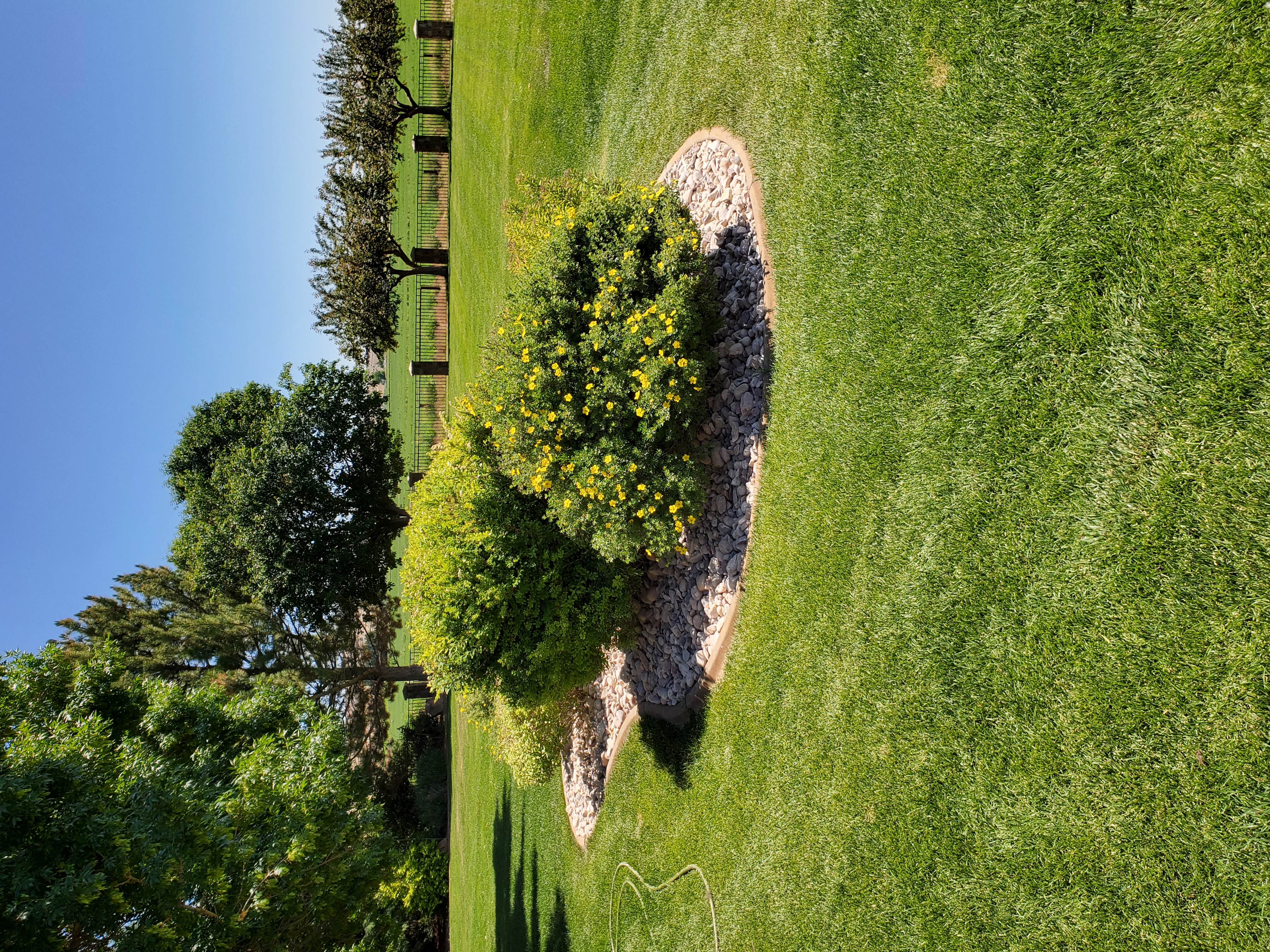 Landscaping installation and maintenance services