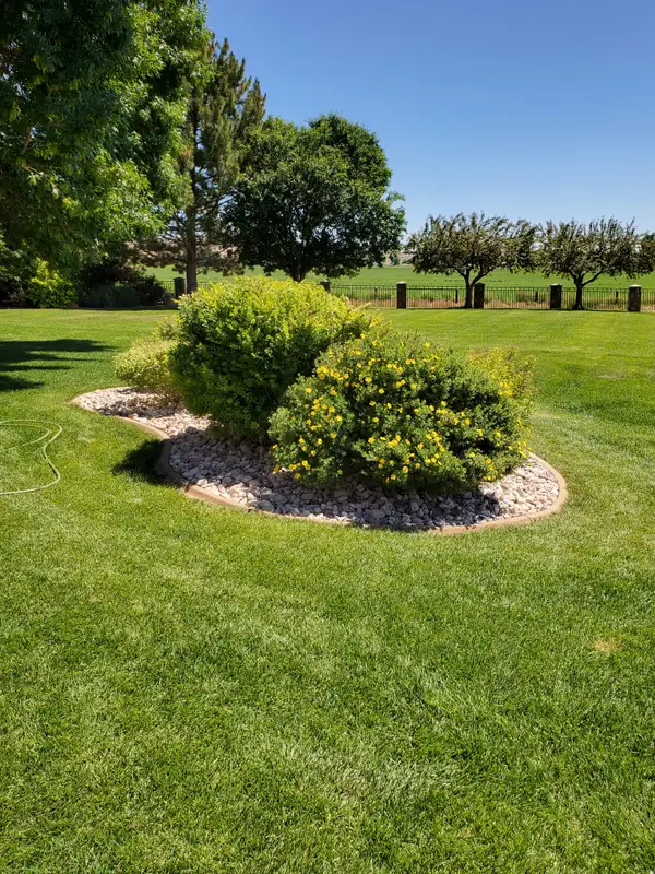 A shaped shrub and flowering bed set in a rock border on a freshly cut lawn